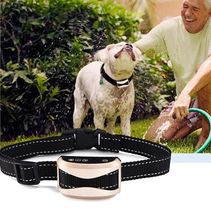 Pet Dog Safety Anti Bark Collars Rechargeable Vibration Electric Shock Waterproof Stop Barking Dog Waterproof Training Image 2