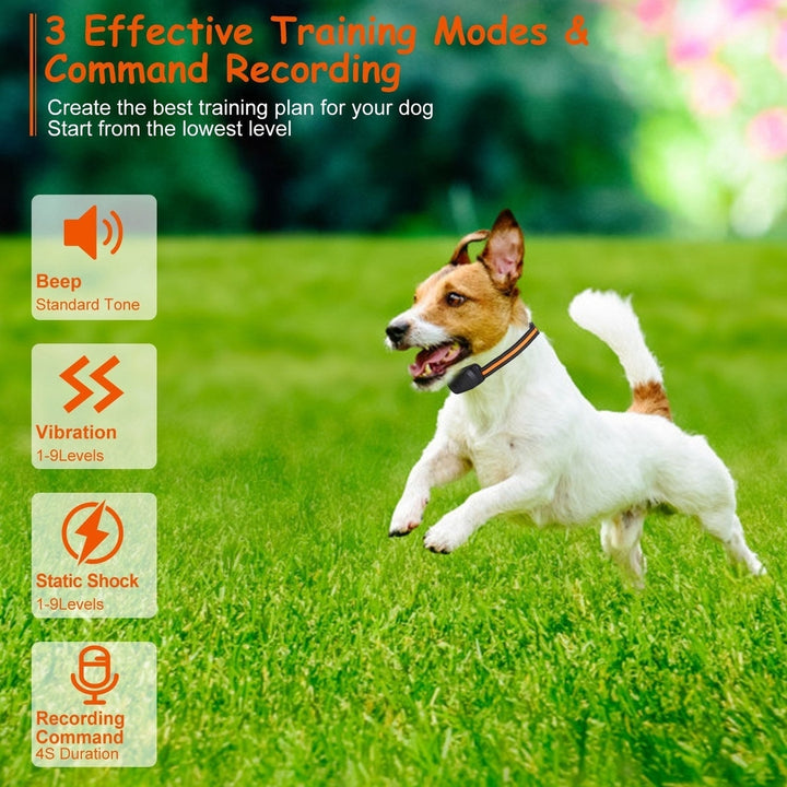 984FT Dog Training Collar IP65 Waterproof Pet Beep Vibration Electric Shock Collar 3 Channels Rechargeable Transmitter Image 2