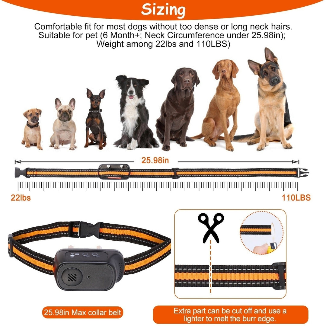 984FT Dog Training Collar IP65 Waterproof Pet Beep Vibration Electric Shock Collar 3 Channels Rechargeable Transmitter Image 4