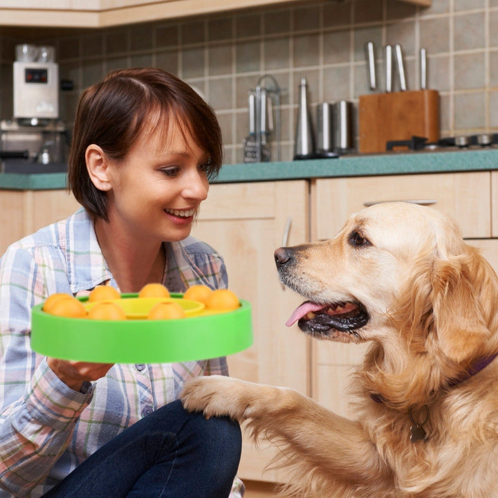 Dog Puzzle Food Feeder Slow Feeding Bowl Interactive Toy Dog Treat Dispensing Toy Image 3