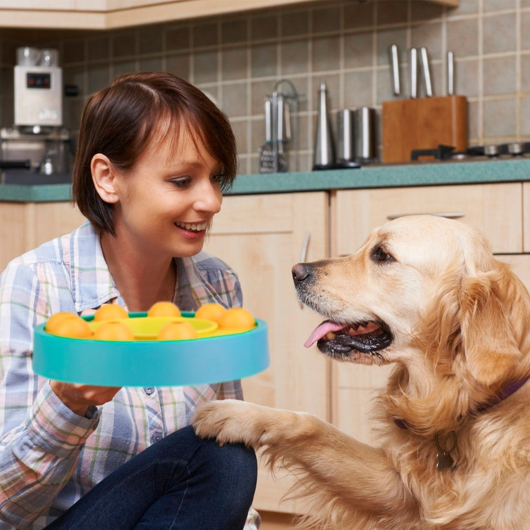 Dog Puzzle Food Feeder Slow Feeding Bowl Interactive Toy Dog Treat Dispensing Toy Image 7