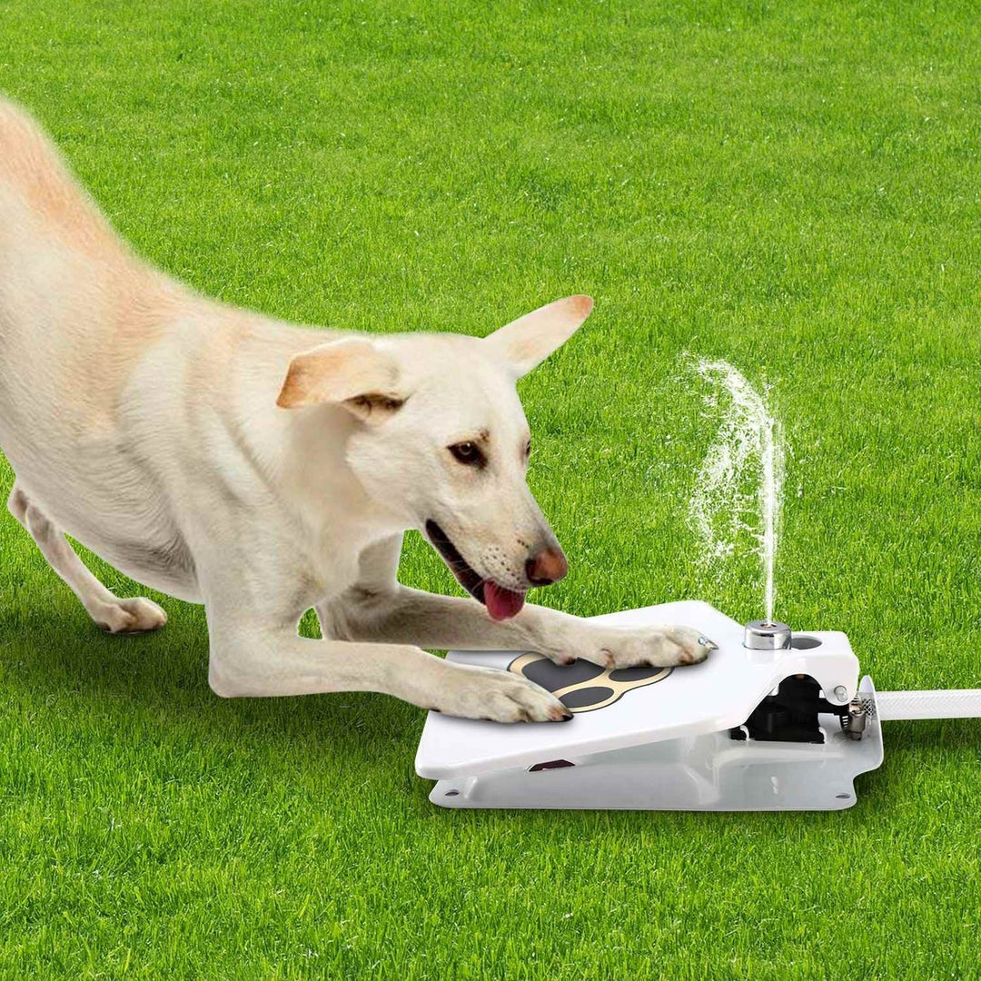 Dog Water Fountain Outdoor Dog Pet Water Dispenser Step-on Activated Sprinkler Image 8