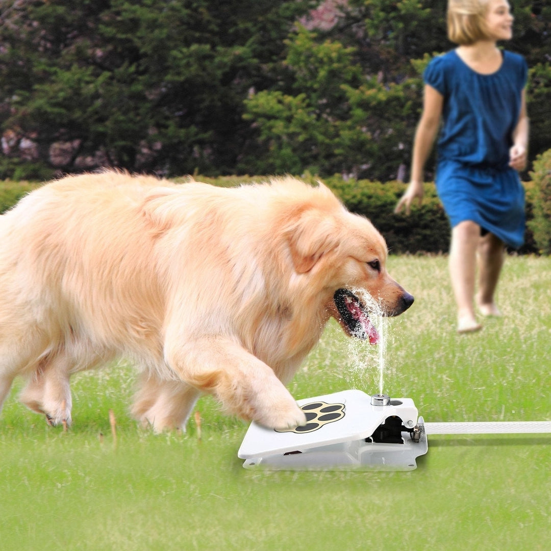 Dog Water Fountain Outdoor Dog Pet Water Dispenser Step-on Activated Sprinkler Image 9