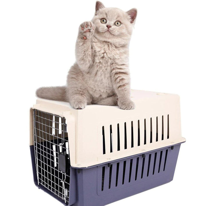 Plastic Cat Dog Carrier Cage with Chrome Door Portable Pet Box Airline Approved Medium Blue Image 3