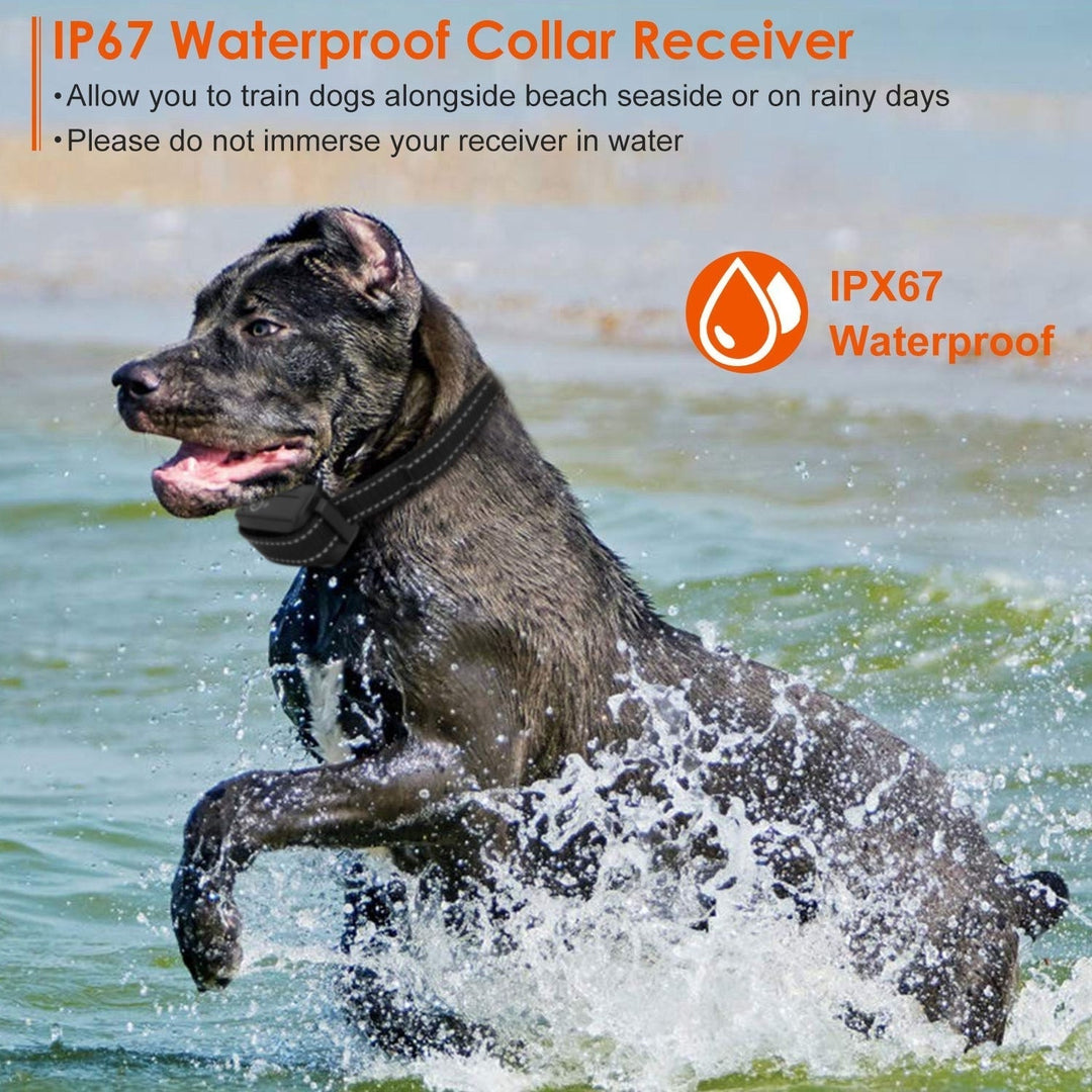 3280FT Dog Training Collar IP67 Waterproof Pet Beep Vibration Electric Shock Collar Image 7