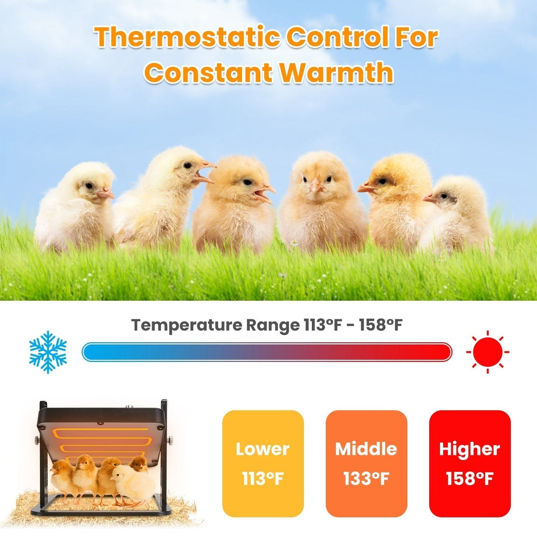 Brooder Heater For Chicks with Height Angle Adjustable Heating Panel 21W Incubator Chick Brooder Heating Plate Image 4