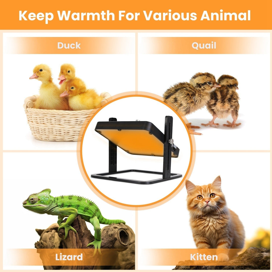 Brooder Heater For Chicks with Height Angle Adjustable Heating Panel 21W Incubator Chick Brooder Heating Plate Image 7