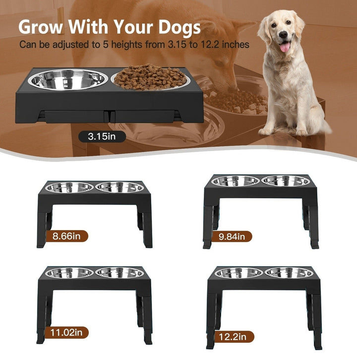 Dog Raised Bowls with 6 Adjustable Heights Stainless Steel Elevated Dog Bowls Foldable Double Bowl Dog Feeder for Small Image 4