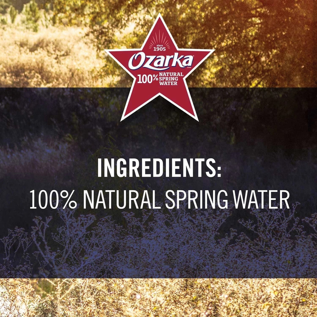 Ozarka Natural Spring Water 16.9 Fluid Ounce Bottles (Pack of 40) Image 4