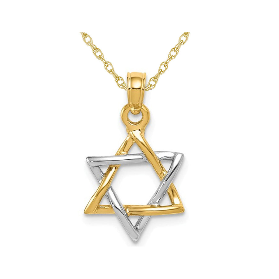 14K Yellow and White Gold Polished Star of David Pendant Necklace with Chain Image 1