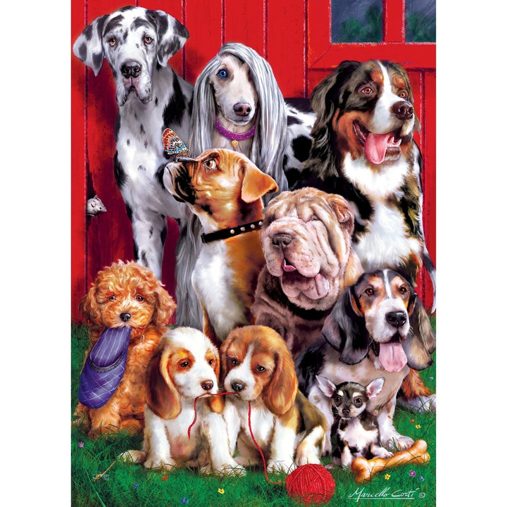 Furry Friends - Sitting Pretty 1000 Piece Jigsaw Puzzle Image 2