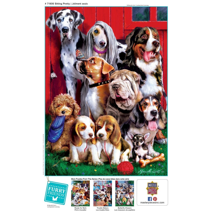 Furry Friends - Sitting Pretty 1000 Piece Jigsaw Puzzle Image 4