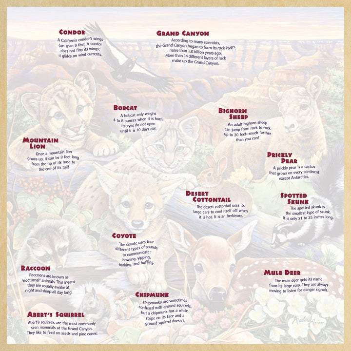 Jr. Ranger - Wildlife of the Grand Canyon 48 Piece Wood Puzzle Image 4