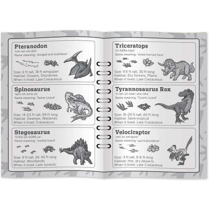 Jr. Ranger Dino Tracks Card Game Image 4