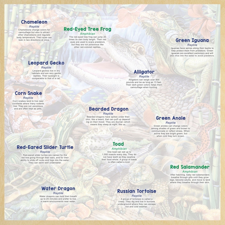 Wood Fun Facts - Reptile Friends 48 Piece Wood Puzzle Image 4