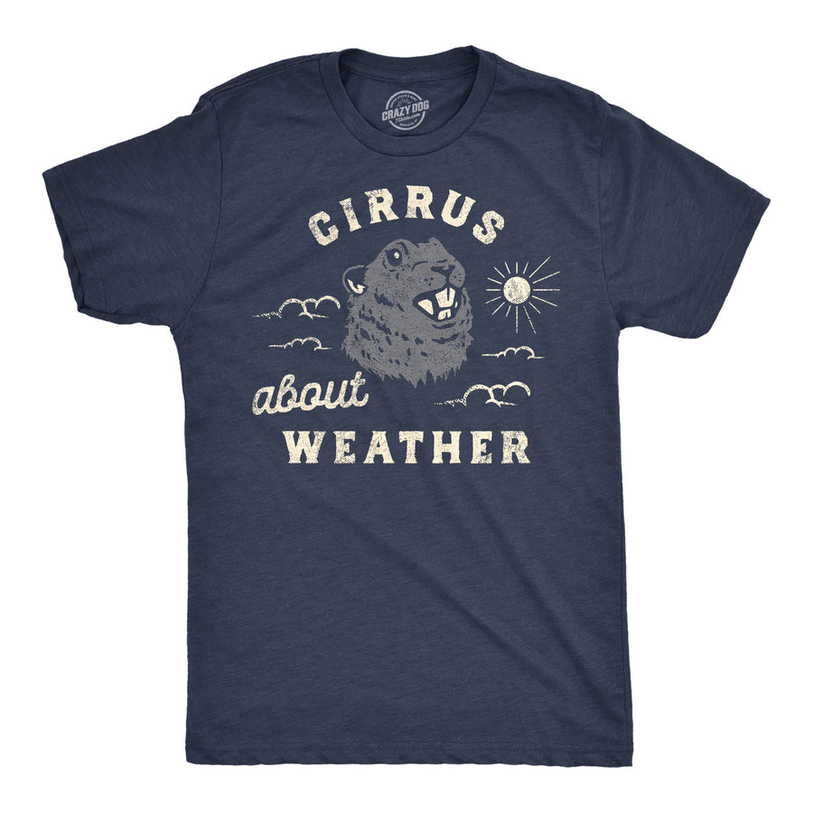 Mens Cirrus About Weather T Shirt Funny Ground Hogs Day Cloudy Shadow Joke Tee For Guys Image 1