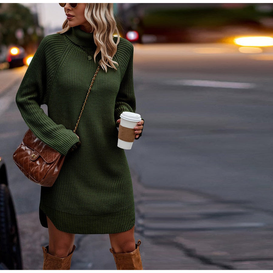 Chunky Turtleneck Sweater Dress Image 1