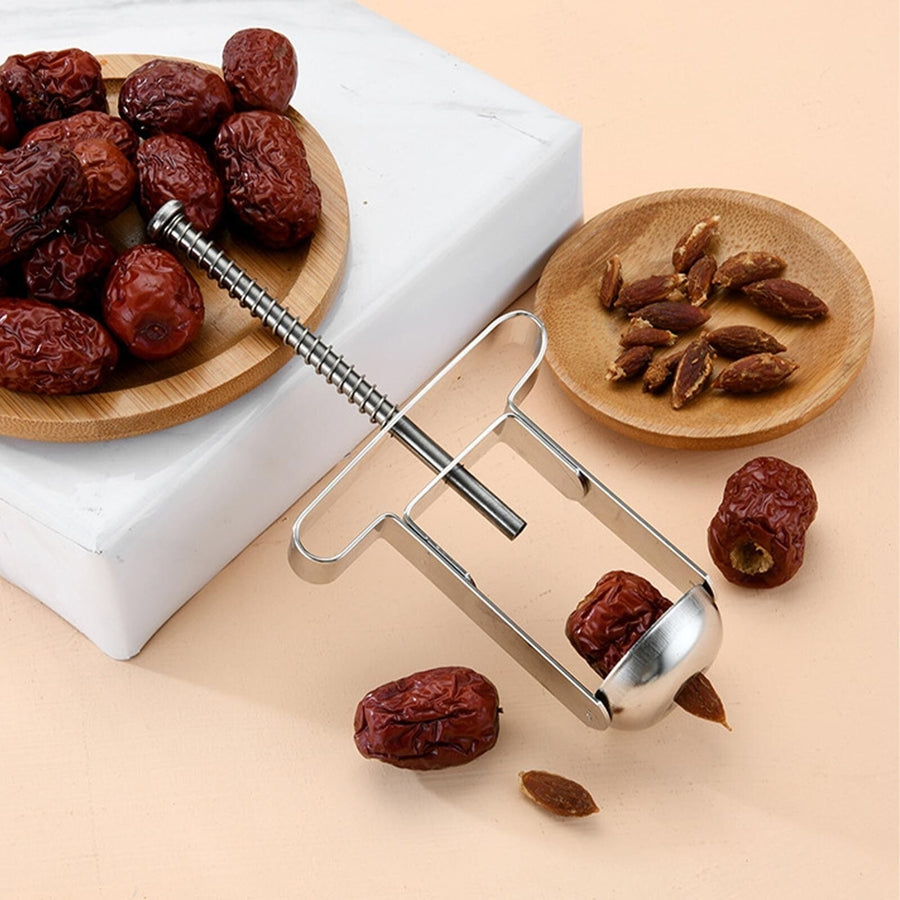 Stainless Steel Fruit Pit Jujube Core Remover Corer Image 1