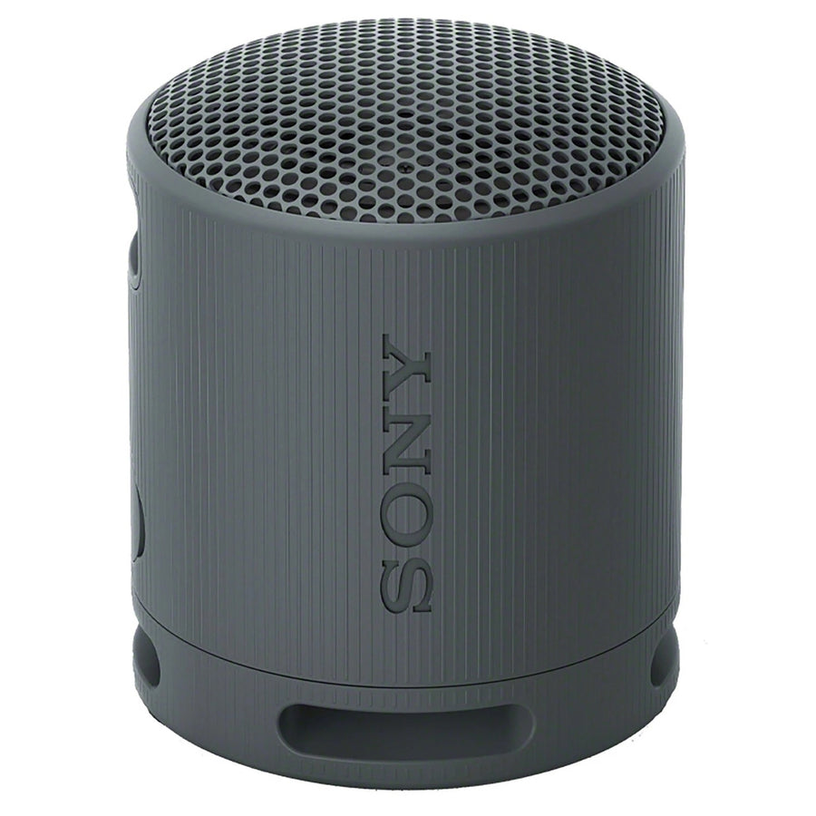 Sony SRSXB100 Bluetooth Portable Speaker Image 1