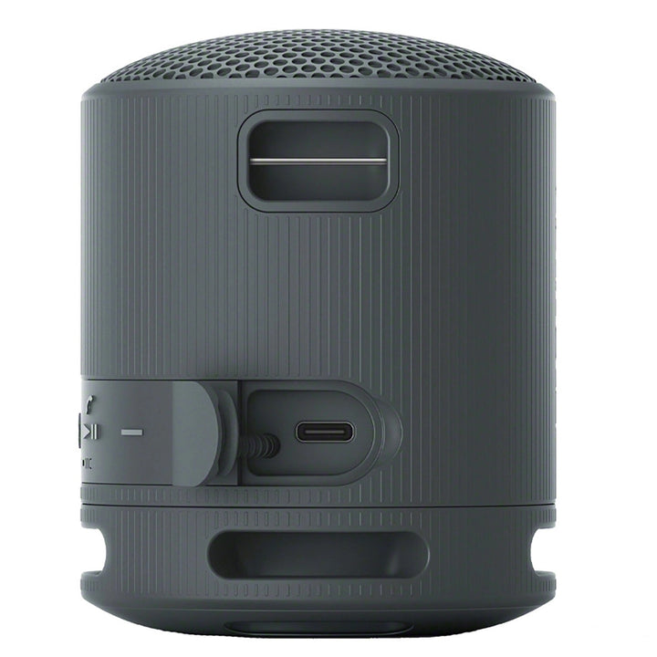 Sony SRSXB100 Bluetooth Portable Speaker Image 3