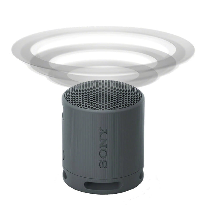 Sony SRSXB100 Bluetooth Portable Speaker Image 4