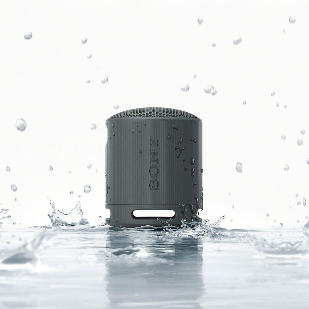 Sony SRSXB100 Bluetooth Portable Speaker Image 4