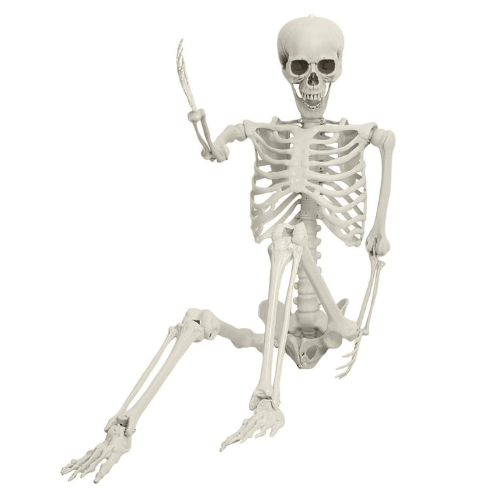 5.4FT Poseable Skeleton Prop Life Size Plastic Halloween Human Bones Skeleton Party Supplies Image 1