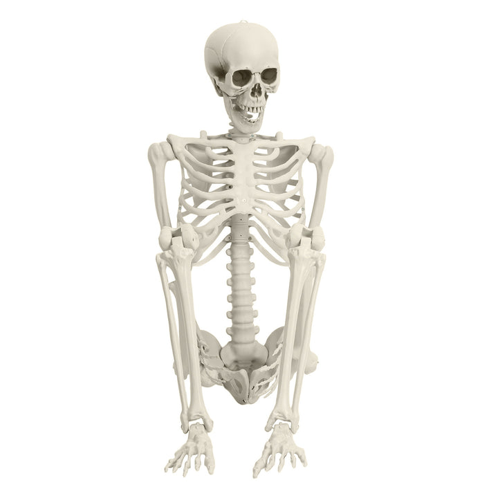 5.4FT Poseable Skeleton Prop Life Size Plastic Halloween Human Bones Skeleton Party Supplies Image 8