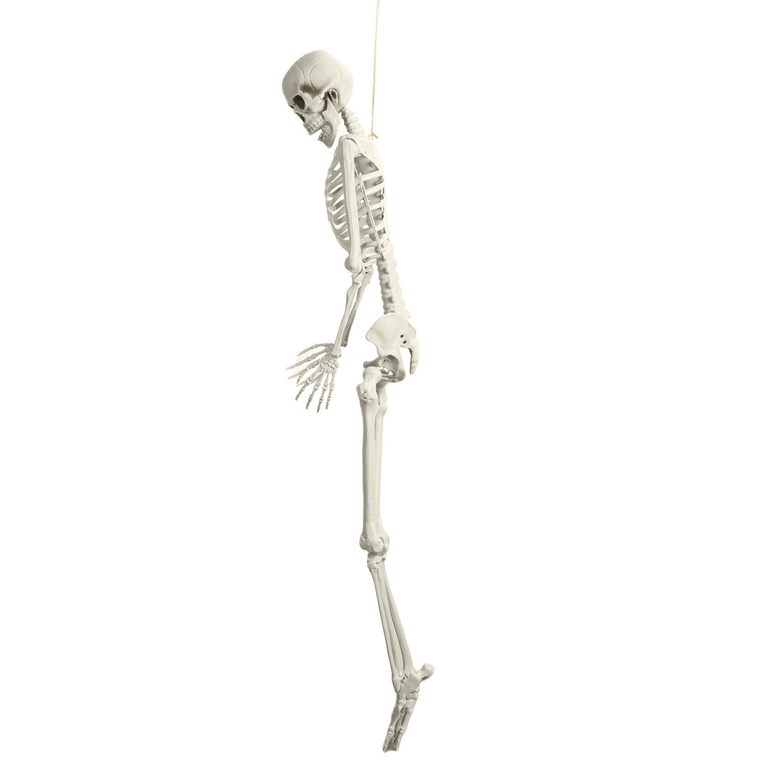 5.4FT Poseable Skeleton Prop Life Size Plastic Halloween Human Bones Skeleton Party Supplies Image 9