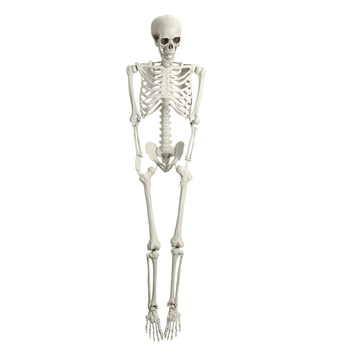 5.4FT Poseable Skeleton Prop Life Size Plastic Halloween Human Bones Skeleton Party Supplies Image 10