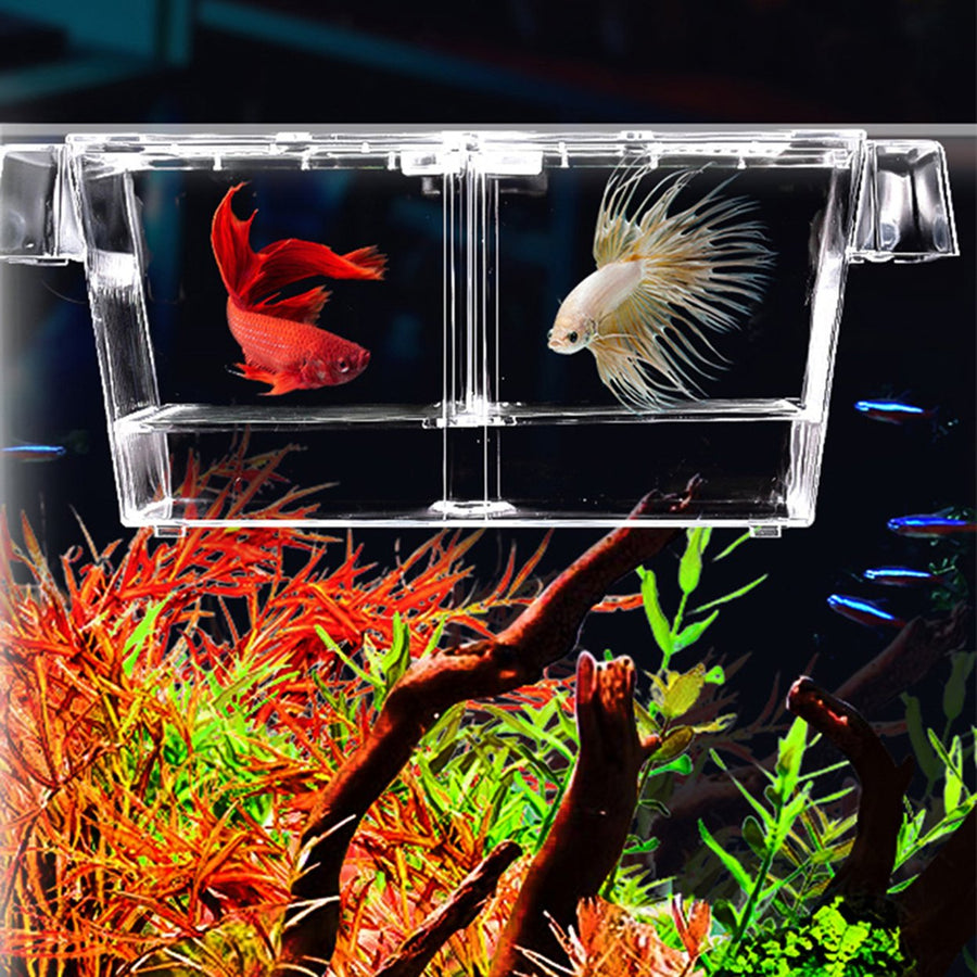Aquarium Hatching Incubators Large Space Double Layer Transparent Plastic Fish Tank Breeding Isolation Box Aquarium Image 1