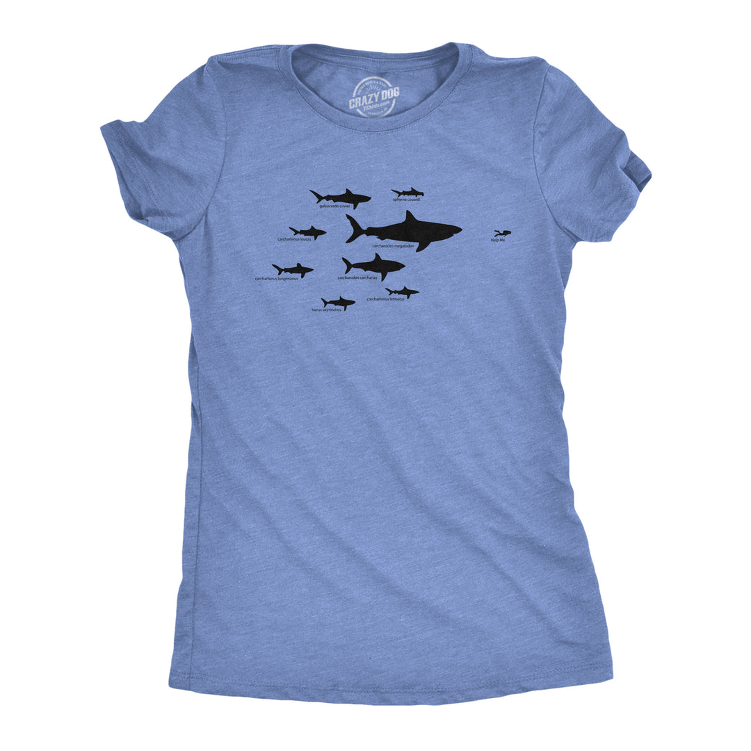 Womens Shark Hierarchy Chart T Shirt Funny Science Ocean Tee For Guys Image 3
