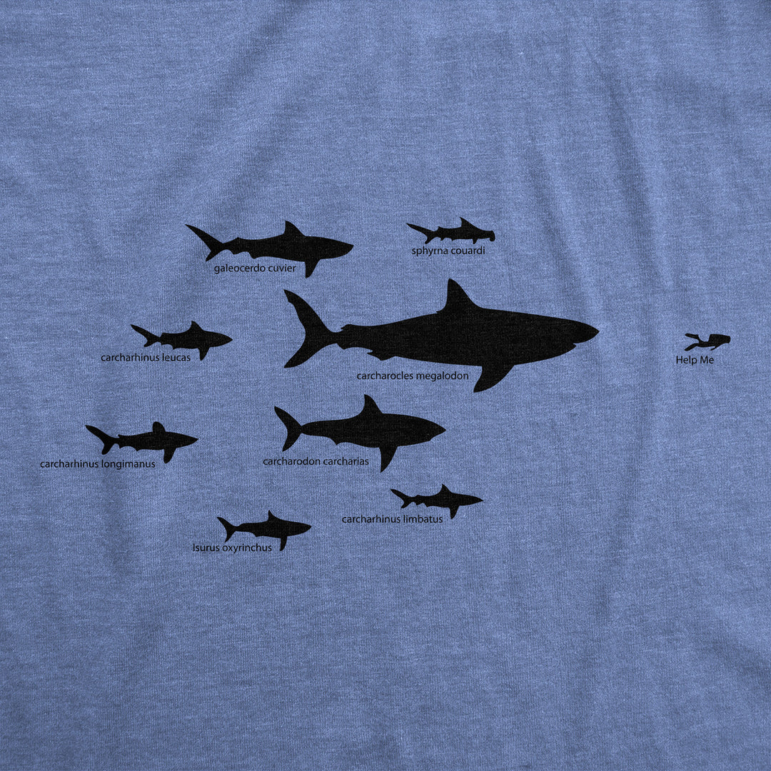 Womens Shark Hierarchy Chart T Shirt Funny Science Ocean Tee For Guys Image 4