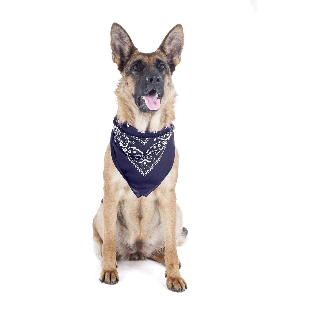 8 Pack Paisley Dog Bandanas Triangle Shape Polyester 40x26 Inch for All Sizes Image 4