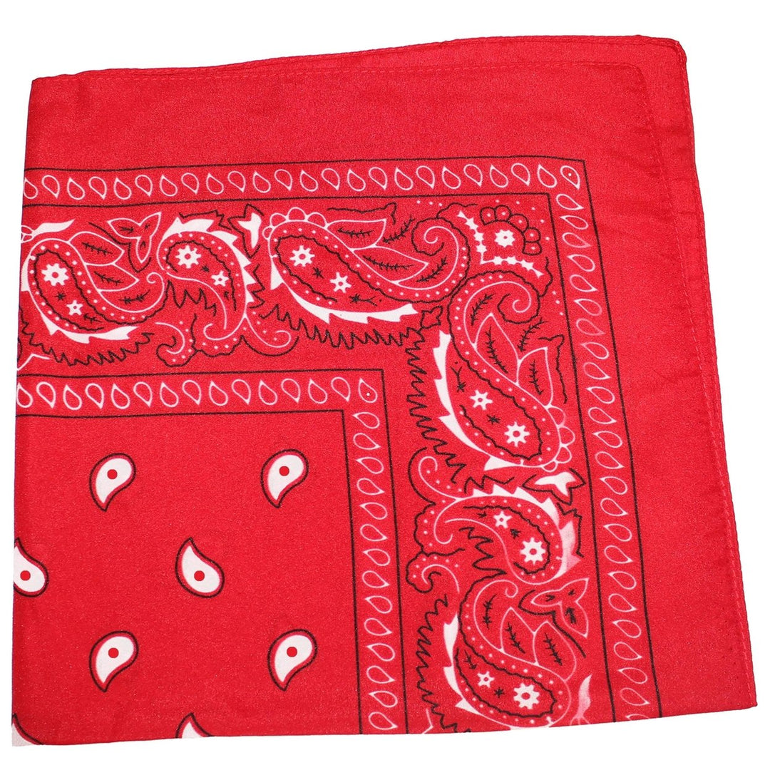 Qraftsy 8 Pack Cotton Extra Large Bandanas 27x27 Inches Paisley Plain Colors Image 2