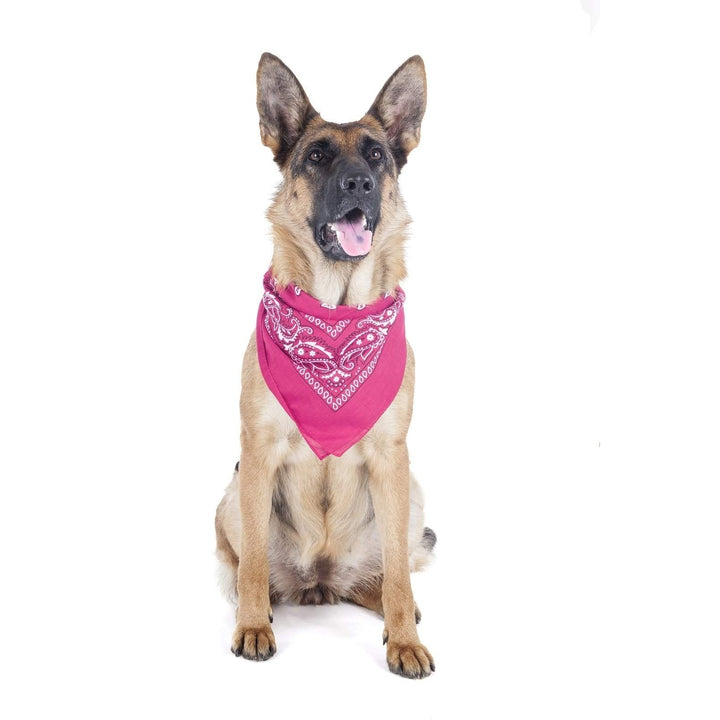 8 Pack Paisley Dog Bandanas Triangle Shape Polyester 40x26 Inch for All Sizes Image 8