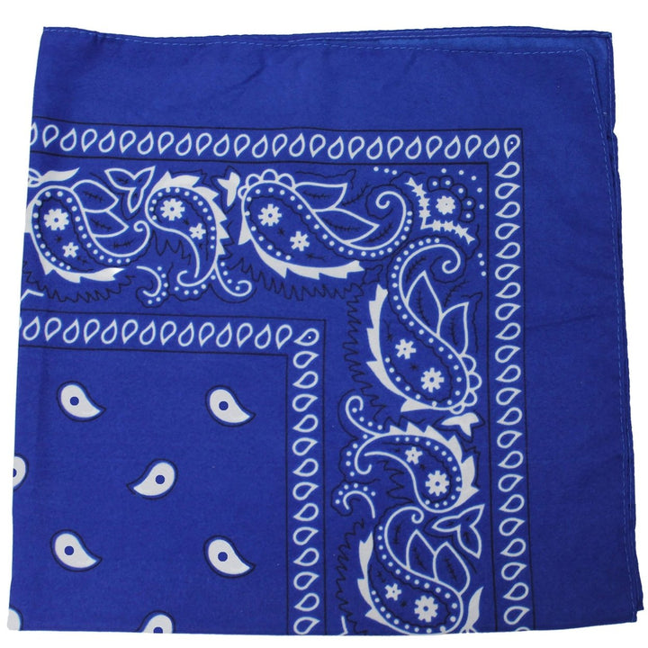 Qraftsy 8 Pack Cotton Extra Large Bandanas 27x27 Inches Paisley Plain Colors Image 4