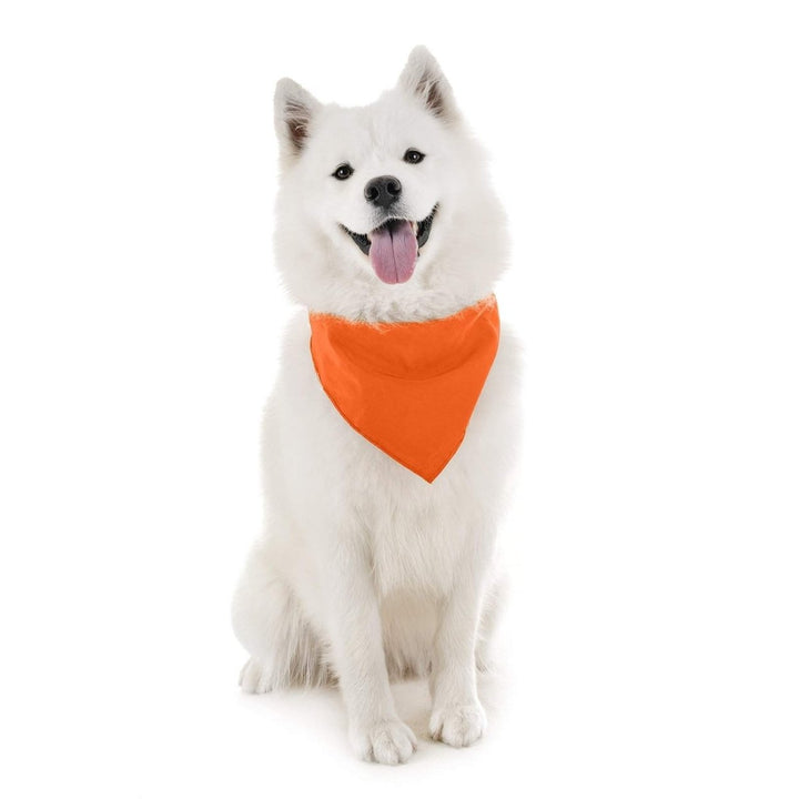 Balec Dog Bandanas Triangle Bibs Set 4 Pack Multi Color Cotton for All Pets Image 4