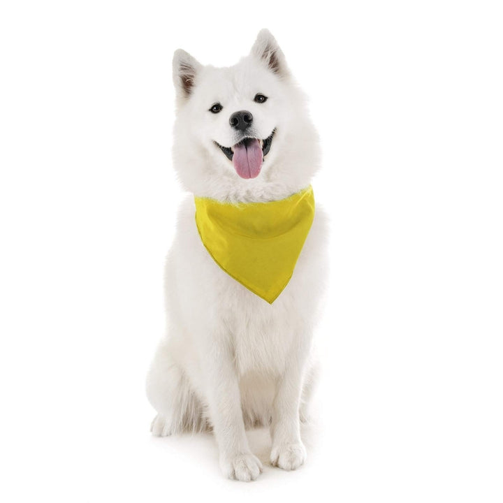 Balec Dog Bandanas Triangle Bibs Set 4 Pack Multi Color Cotton for All Pets Image 9