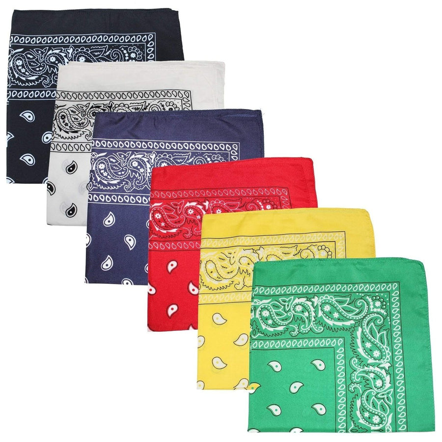 Daily Basic Bulk Lot Polyester XL Multi-Purpose Bandana - Paisley and Solid - Pack of 200 (Mix) Image 1