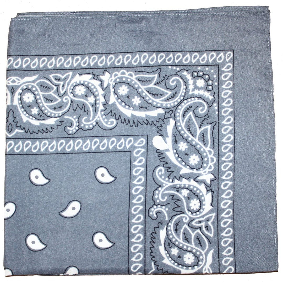 X-Large Paisley Bandana 27x27 inches 100% Cotton Unisex Soft Breathable Fashion Image 1