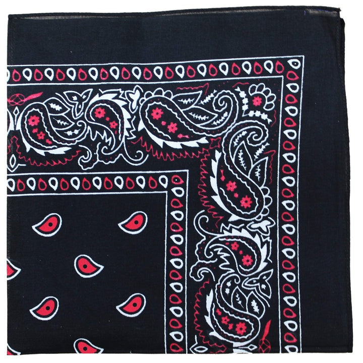 X-Large Paisley Bandana 27x27 inches 100% Cotton Unisex Soft Breathable Fashion Image 1