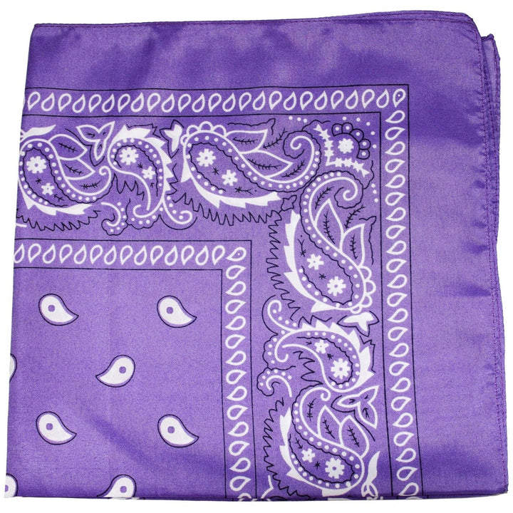 Mechaly 100% Polyester Paisley Bandana for Men and Women Multi-Use Fashion Accessory Image 1