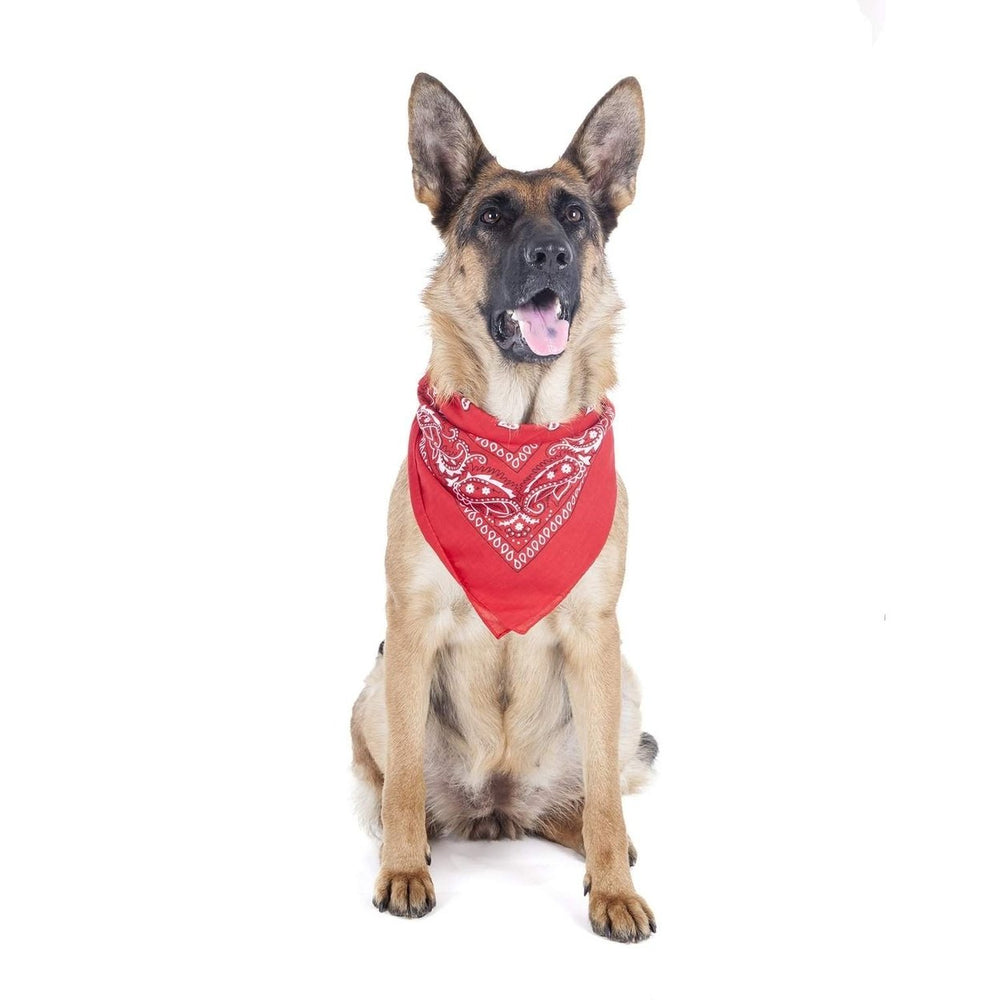 5 Pack Paisley Dog Bandanas Polyester Triangle 40x26 for Medium Large Pets Image 2