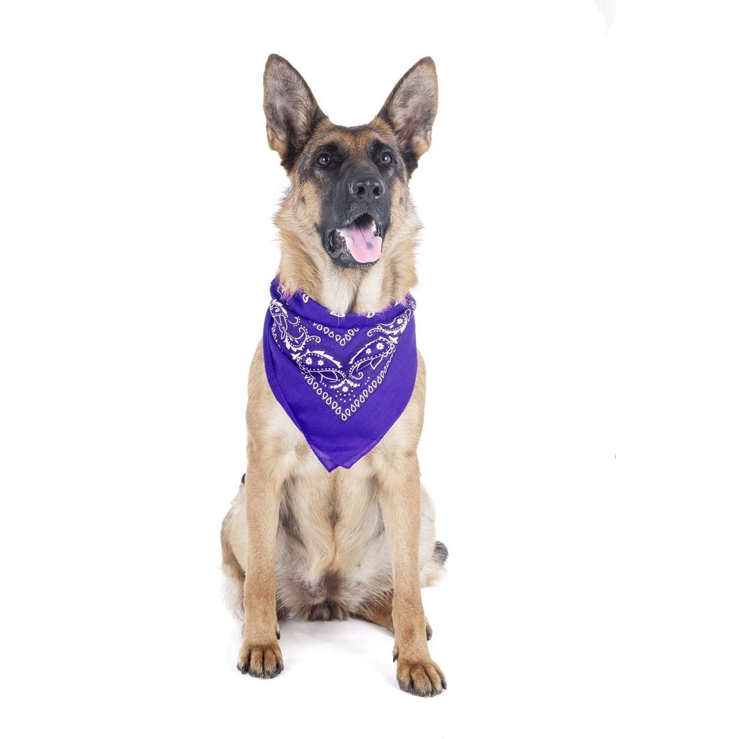 5 Pack Paisley Dog Bandanas Polyester Triangle 40x26 for Medium Large Pets Image 7