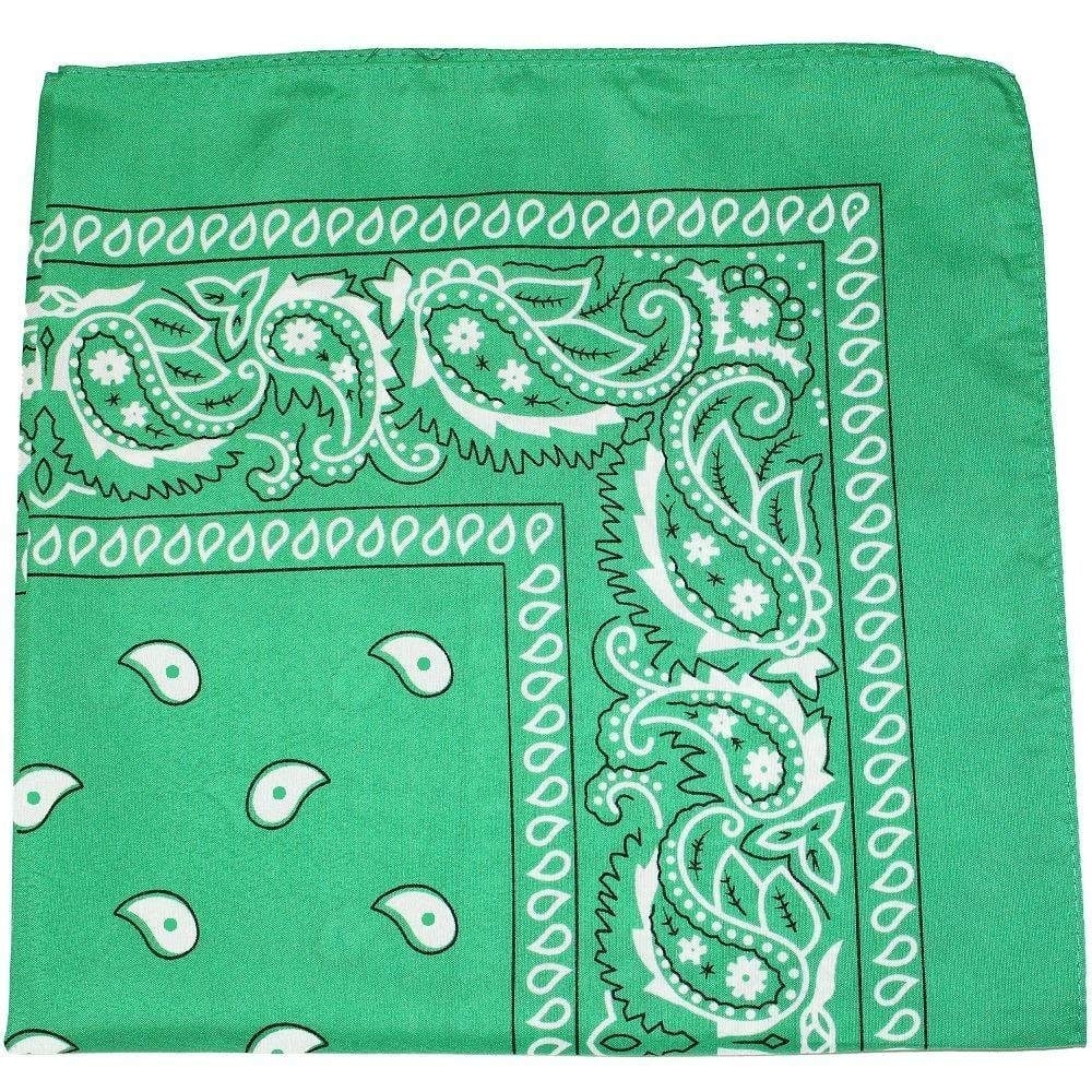 Pack of 10 22x22 Polyester Paisley Printed Bandanas Daily Basic Accessory Image 7