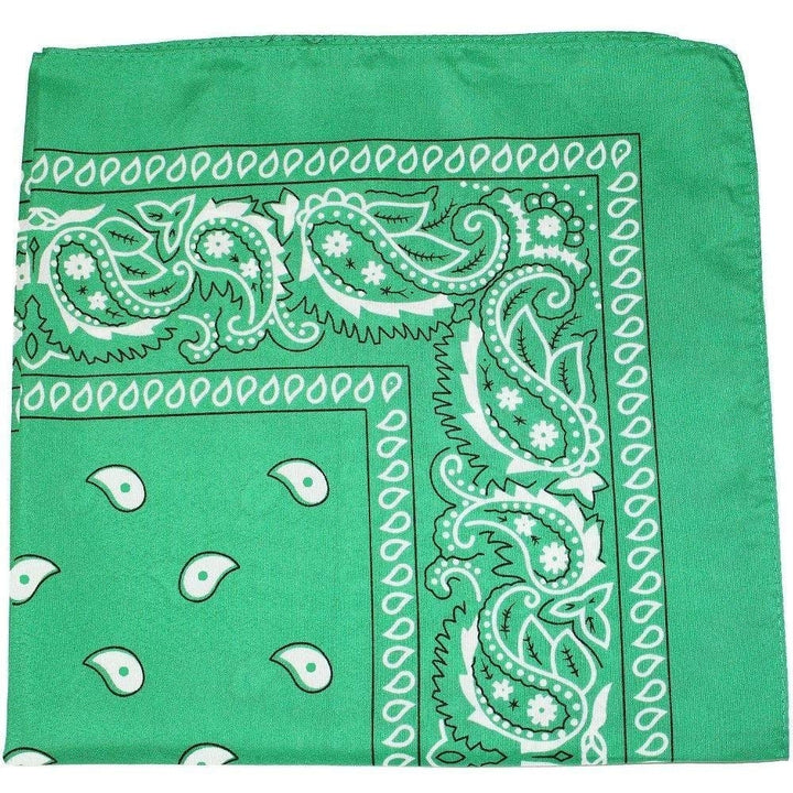 Pack of 10 22x22 Polyester Paisley Printed Bandanas Daily Basic Accessory Image 7