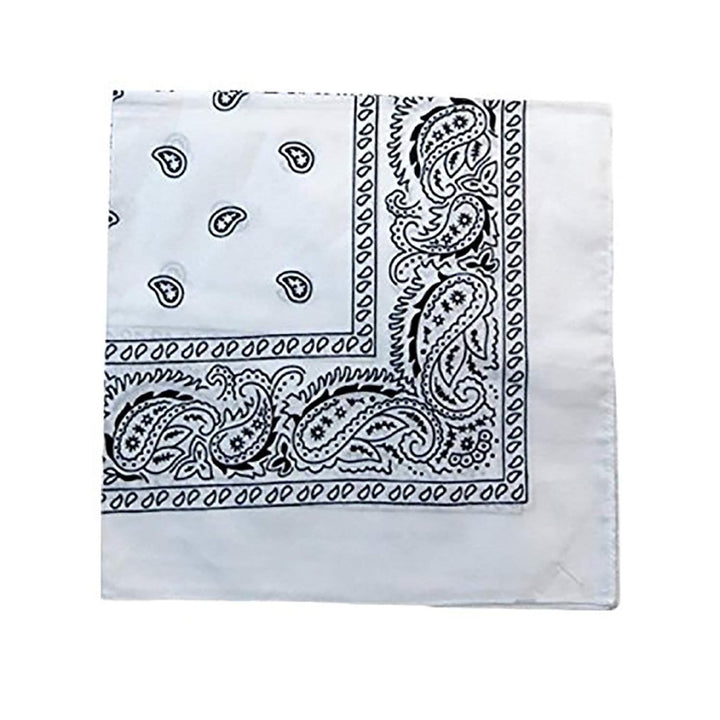 PriceMeNow 36 Pack XL Polyester Paisley Bandanas 27x27 Non Fading Colors Image 3