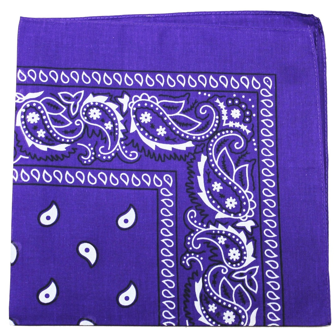 Pack of 5 X-Large Paisley Cotton Printed Bandana - 27 x 27 inches Image 8