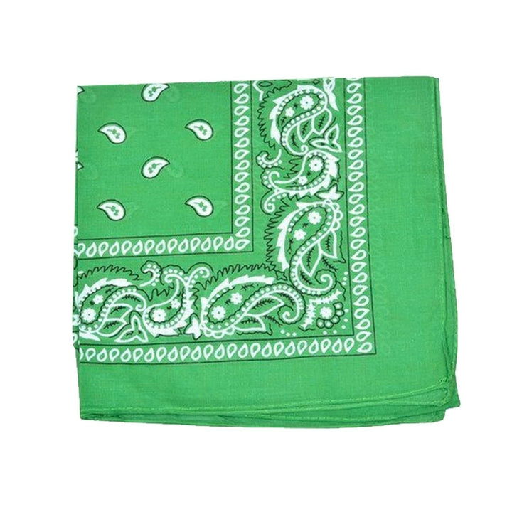 Unibasic Paisley Cotton Bandana XL 10 Pack Head Wrap Handkerchief Novelty Image 7